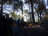 2016-10-09 Les gorges d Apremont 0030